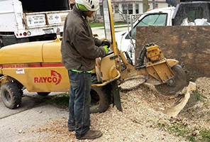 Affordable Tree Care - Stump Grinding Service